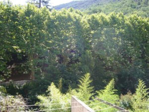 Voici une photo du balconnet avec vue sur rivière du T1 n°B3. Cette location se trouve à 100 mètres des thermes d’Amélie les Bains.