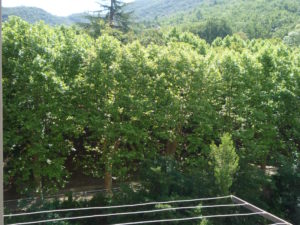 Voici une photo du balconnet avec vue sur la rivière du T2 n°B6. Cette location se trouve à 100 mètres des thermes.