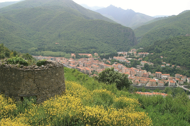 Voici la photo vue en hauteur de la ville thermale d’Amélie les Bains. Nos locations se trouvent à 100 mètres des thermes.