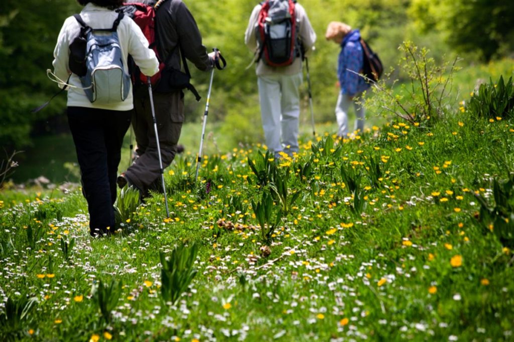 Des randonnées sont organisées autour d'Amélie les Bains tous les lundis et jeudis à tous les marcheurs. Voici les coordonnées pour vous renseigner ou réserver.